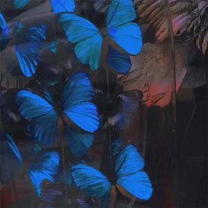 胖的女人基本都是馒头
