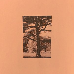 胖的女人基本都是馒头
